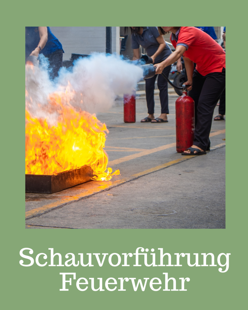 37_1225_Bieringen_Schauübung