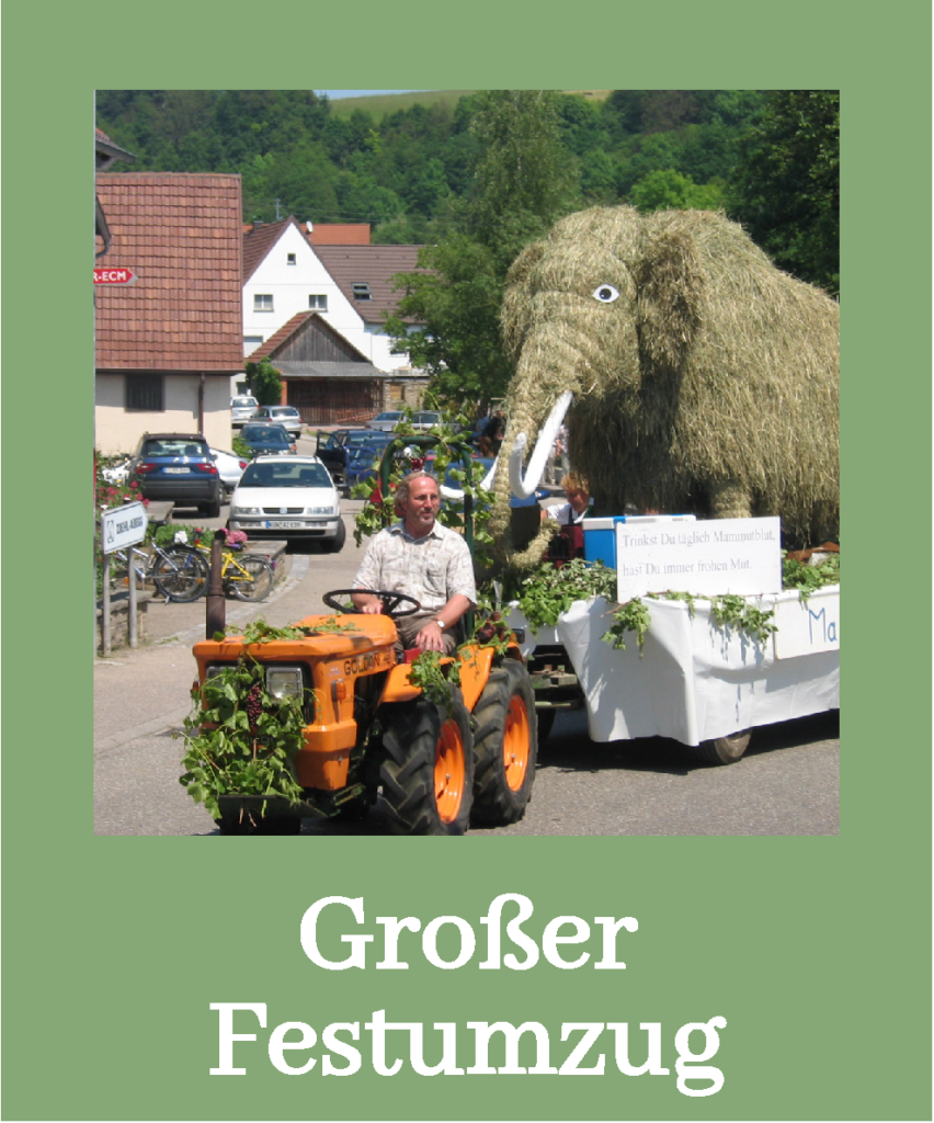 unter Mitwirkung aller Bieringer Vereine, mehr als 15 Gastkapellen, Schule, Kindergarten, Partnergemeinde Bieringen am Neckar, historische Motivwägen mit Pferden und Traktoren