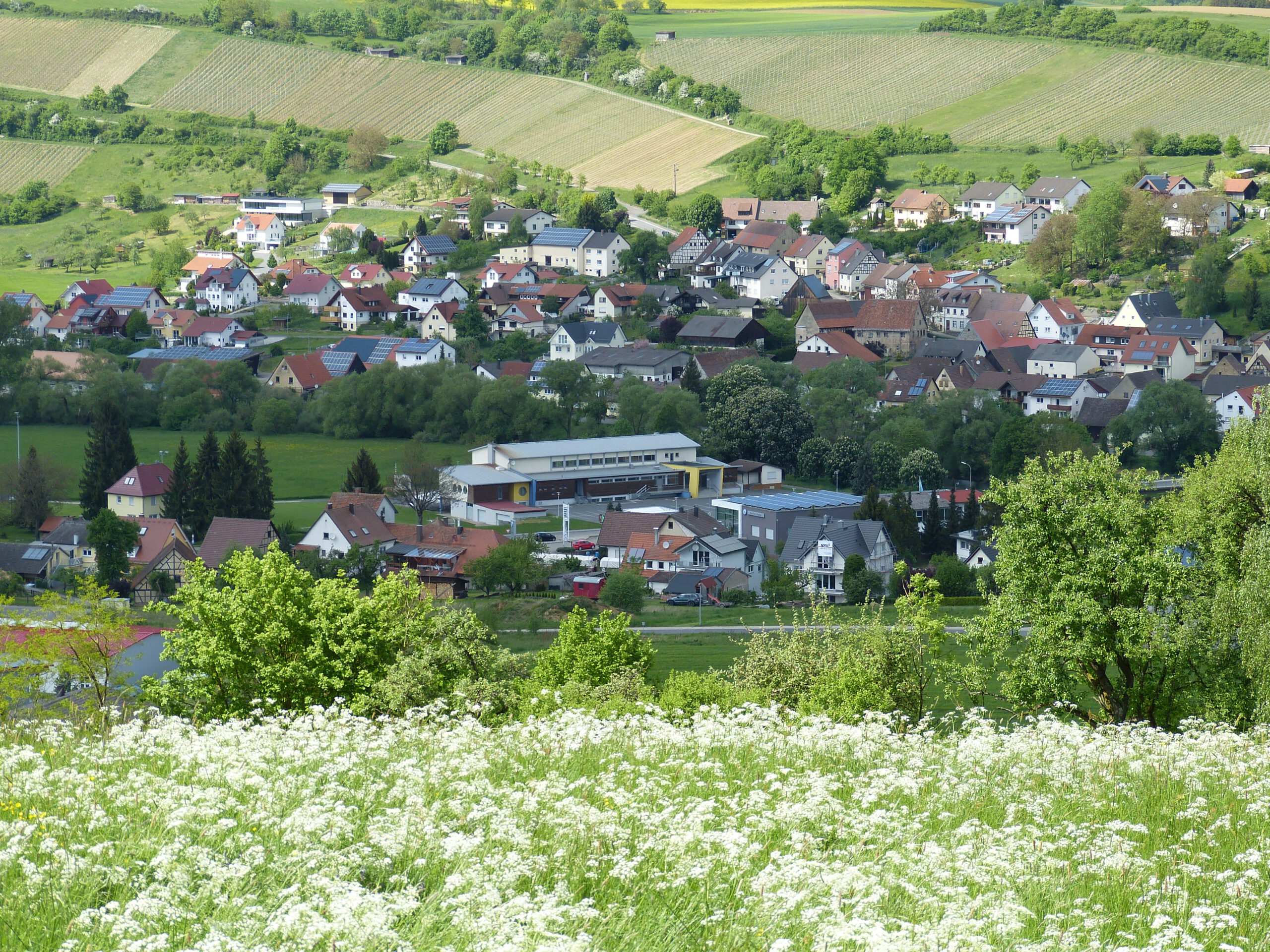 AV Bieringen B.M.