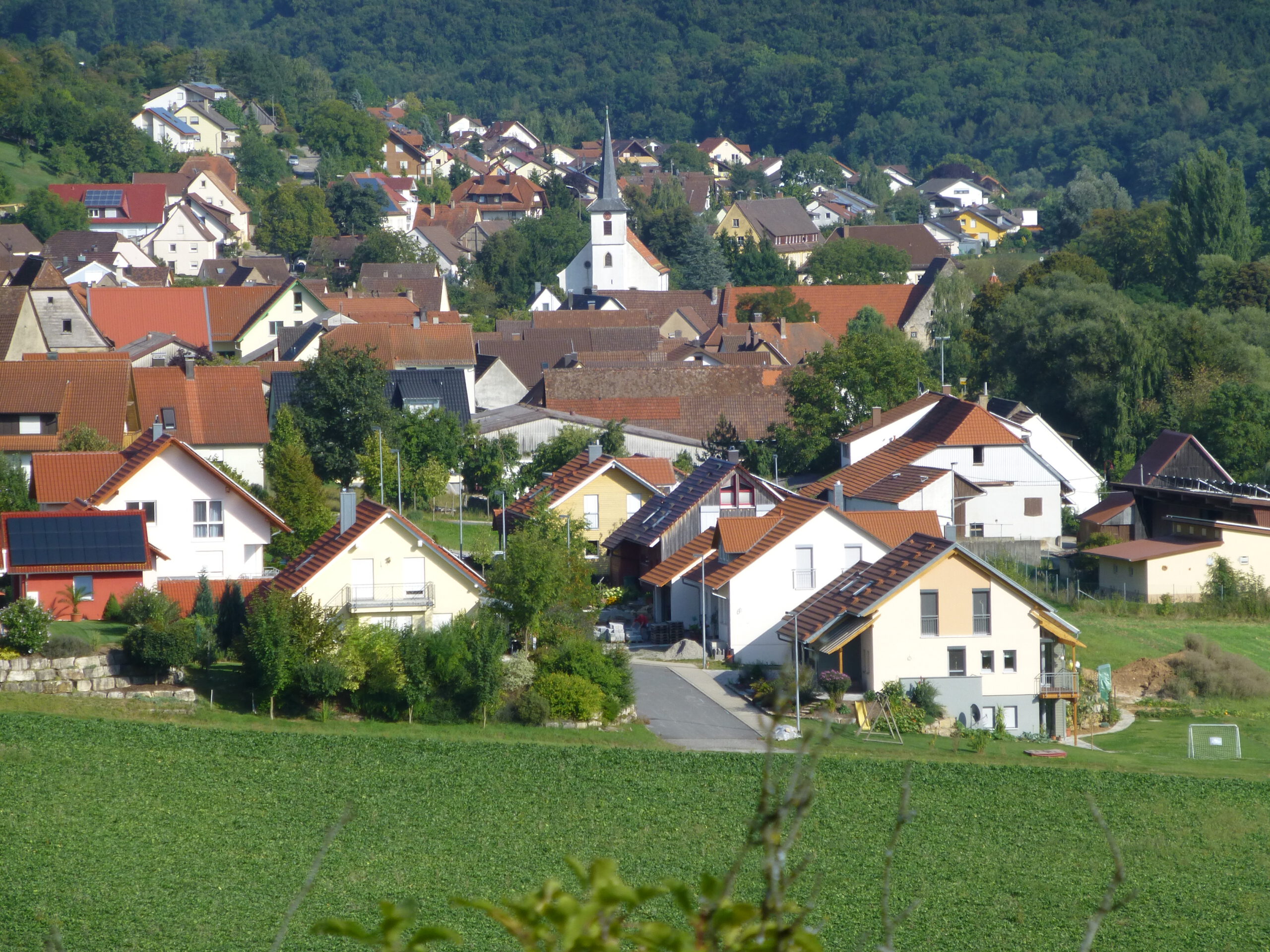 P1010962 B.M.